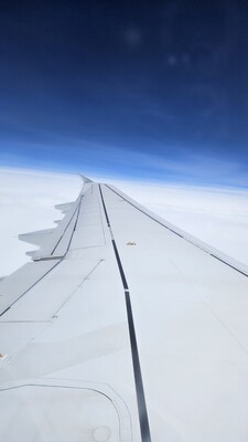 20260604_161752.jpg