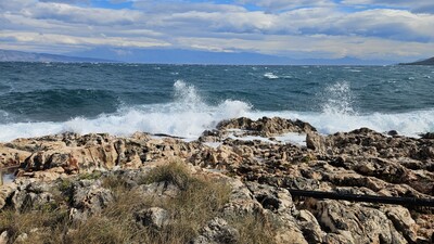 20251003_113147.jpg