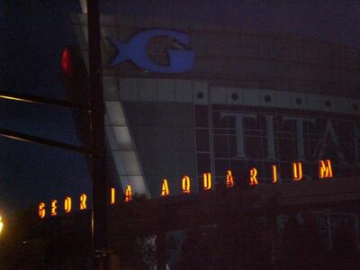 WM_Atlanta_2009_151.jpg
