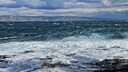 20251003_113519.jpg